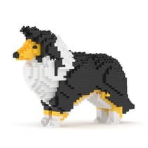 Chien Berger des Shetland noir Taille standard | JEKCA | 14 ans et +