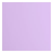 Papier cartonné lisse Florence - Hyacinth - 20 feuilles - 30,5 x 30,5 cm - 216 g/m²