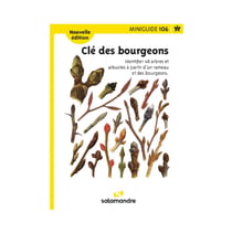 Miniguide 106 - Clé des bourgeons