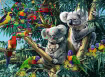 Puzzle famille de koalas et perroquets dans l'arbre 500 pieces - collection animaux - ravensburger - 14826