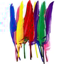 Plumes, L : 27 cm, ass. de couleurs, 12 pièces/ 1 Pq.