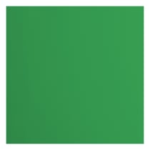 Papier cartonné Florence - Holly - 20 feuilles - 30,5 x 30,5 cm - 216 g/m²