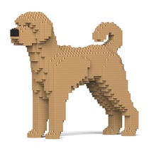 Chien Labradoodle beige Taille standard | JEKCA | 14 ans et +