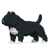 Chien American Bully noir Taille standard | JEKCA | 14 ans et +