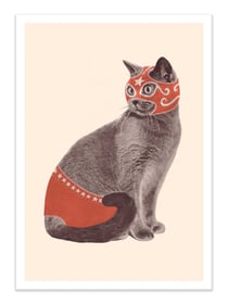 Affiche - Chat catcheur - Florent Bodart