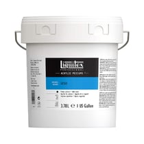 Gesso - Blanc - Apprêt - Acrylique, aquarelle, huile - Liquitex - 3,78L