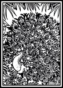 Tableau velours a colorier Paon Sericolor