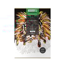 Primevère Lesson Créations, peinture au numéro Lion, illustration de Marikala