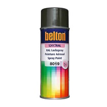 Spray de peinture Belton Spectral RAL 8019 Brun gris 400ml