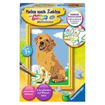 Peinture par numéros - Petit Golden Retriever