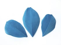 SACHET 3 Gr PLUMES COUPEES TURQUOISE Ht.60