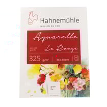 Bloc aquarelle Le Rouge 325g/m2 12feuilles grain fin 36x48cm - Hahnemühle