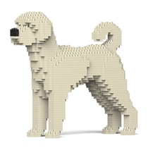 Chien Labradoodle crème Taille standard | JEKCA | 14 ans et +