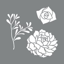 Pochoir Succulentes, 20,32x20,32cm, 2pces