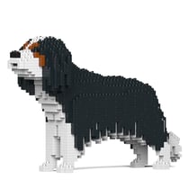 Chien Cavalier King Charles Spaniel noir Taille standard | JEKCA | 14 ans et +