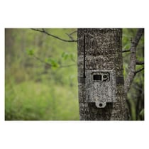 SPYPOINT boitier de sécurité pour CAM MICRO - CAMO - SP680159
