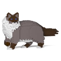 Chat Ragdoll gris foncé | JEKCA | 14 ans et +