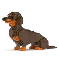 Chien Teckel assis marron et feu Taille standard | JEKCA | 14 ans et +