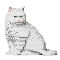 Chat British Shorthair blanc assis | JEKCA | 14 ans et +