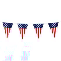 Guirlande Fanions American Party