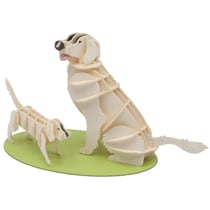 Maquette 3D en papier Golden Retriever - Fridolin