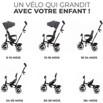 Tricycle Evolutif ASTON Gris pour Enfants de 9 Mois à 5 Ans