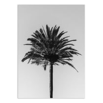 Affiche 30x40 cm - Palm_003 - Pictufy Studio III