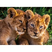 Puzzle 2 mignons lionceaux 250 pieces - nathan collection animaux de la savane 86881
