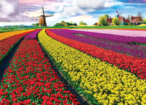 Puzzle 1000 pièces - Champ de Tulipes aux Pays-Bas - Eurographics