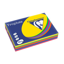 Ramette de papier - A3 - Couleurs vives - 80g - Impression - 500 feuilles - Clairefontaine Trophée