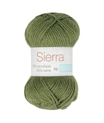 Pelote de laine à tricoter Tricot SIERRA - Distrifil 1352 Vert