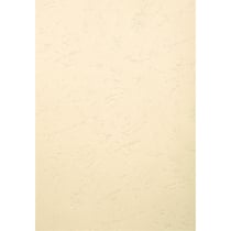 PAQUET DE 100 COUVERTURES GRAIN CUIR POUR RELIURE A3 - Ivoire - Papeteries de Clairefontaine