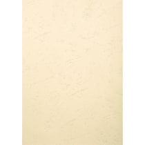 Paquet de 100 couvertures Grain cuir pour reliure A4 - Ivoire - Papeteries de Clairefontaine