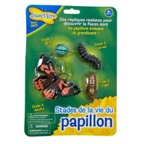 Figurines métamorphose papillon
