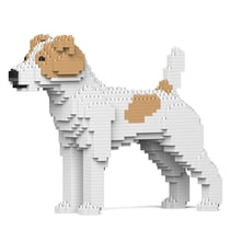 Chien Jack Russell Terrier taches beiges Taille standard | JEKCA | 14 ans et +