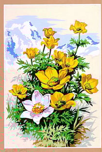 Canevas antique Fleurs des montagnes 30x40cm