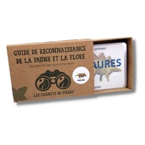 Carnet Les dinosaures