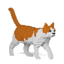 Chat Calico roux | JEKCA | 14 ans et +