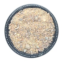 Encens résine en grains Benjoin du Siam 50 g - Omsaé