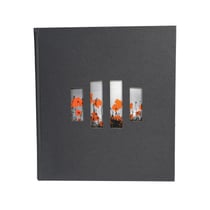 Album photo livre 60 pages noires Milano - Noir - Exacompta