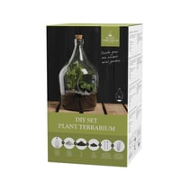 Terrarium végétal à faire soi même 3 litres