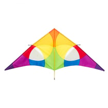 Cerf-volant Delta Rainbow 3m