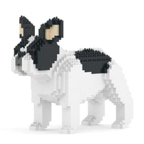 Chien Bouledogue Français oreilles dressées caille noir Taille standard | JEKCA | 14 ans et +