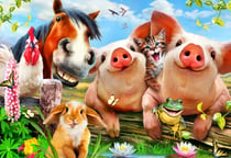 Puzzle 300 pièces - Petting Farm - Bluebird Puzzle