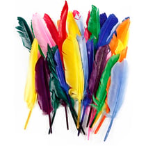 Plumes, L : 17-20 cm, 250 pièces/ 1 Pq.