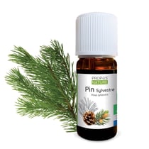 Pin Sylvestre BIO - Huile essentielle