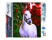 Diamond Painting Broderie Diamant Figured’Art 40x50cm toile entière roulée avec diamants carrés - Cheval et fond coloré