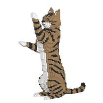 Chat Tigré marron debout | JEKCA | 14 ans et +