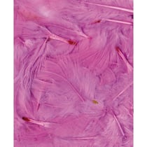 Plumes rose clair 12 cm - Artemio