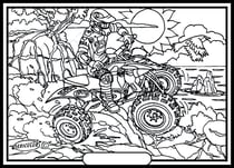 Tableau velours a colorier Quad Sericolor